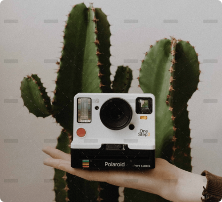 demo-attachment-856-portfolio-8-img